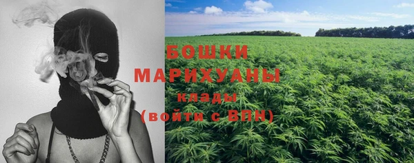 гидра Нея
