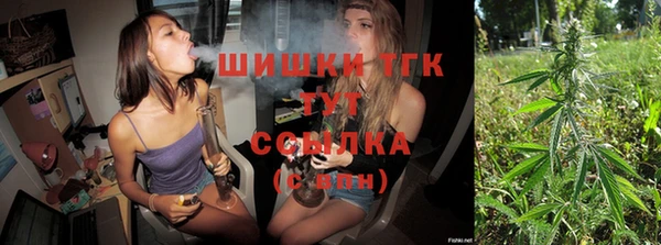 гидра Нея