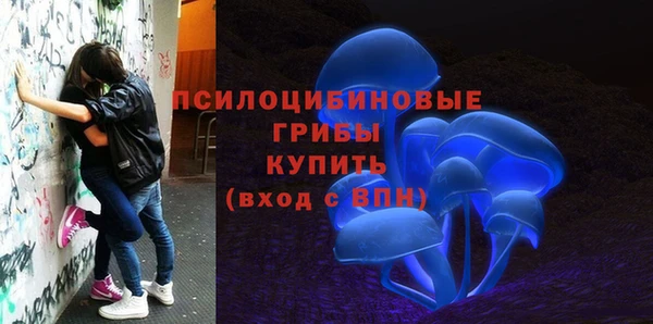 не бодяженный Нефтегорск
