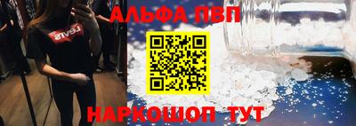 стафф Донской