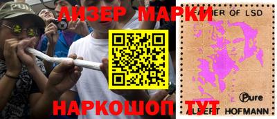 стафф Донской