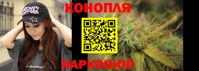 стафф Донской