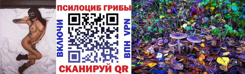Псилоцибиновые грибы Cubensis  Курск 