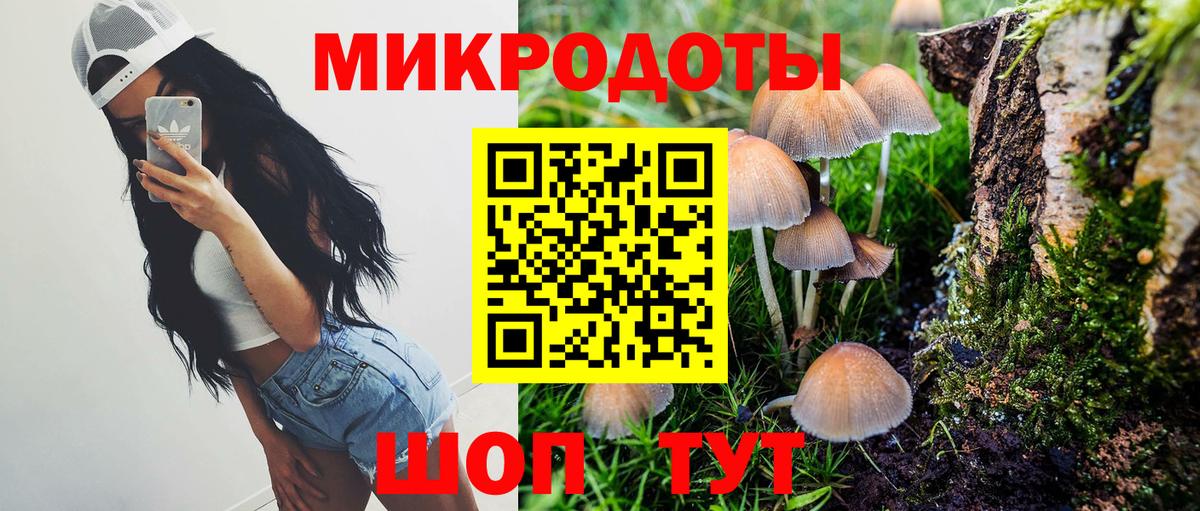 Курск  Псилоцибиновые грибы Cubensis  Галлюциногенные грибы MAGIC MUSHROOMS  Вход с VPN 