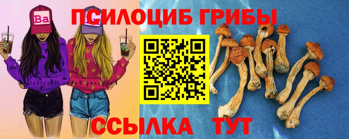Псилоцибиновые грибы Cubensis Курск