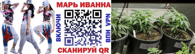 купить закладку  ОМГ ОМГ ссылки  площадка Telegram  Курск  Каннабис сатива 